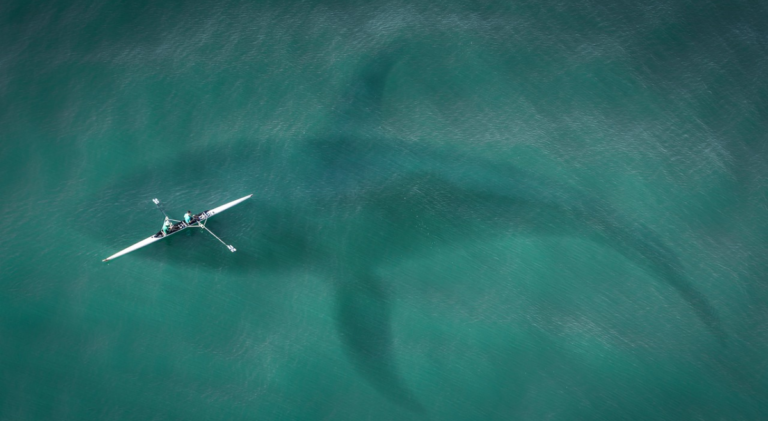 The Lead Balloon #2: Scientists Discover Rare Orange Shark Off Costa Rica – Marine biologists stunned by unique find