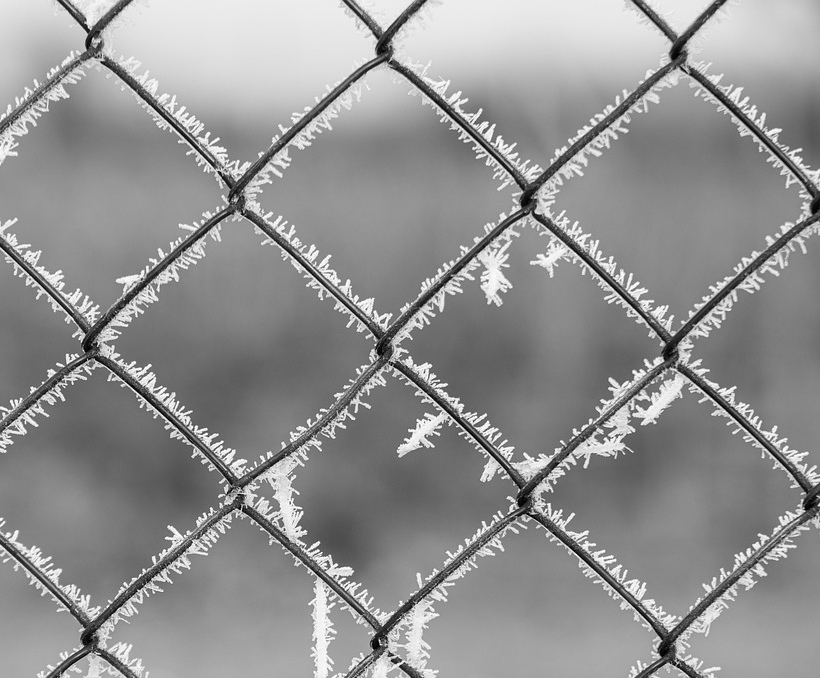 The Lead Balloon #14: Atlanta, GA Braces for Freezing Weather