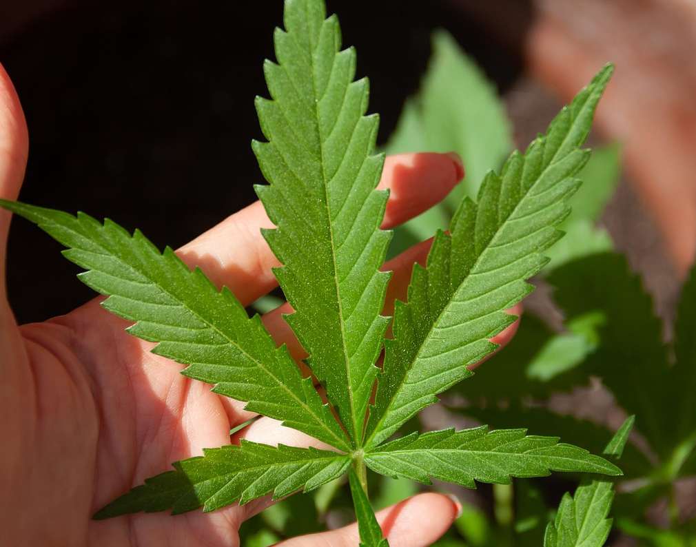 The Lead Balloon #16: Women Who Use Marijuana at A ‘High Intensity’ Report Greater Romantic Relationship Satisfaction, New Study Finds